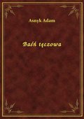 Baśń tęczowa - ebook