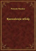 Kaznodzieja młody - ebook