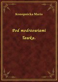 Pod modrzewiami ławka. - ebook