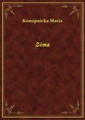 Zima - ebook