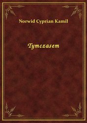 : Tymczasem - ebook