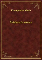 : Widzenie morza - ebook